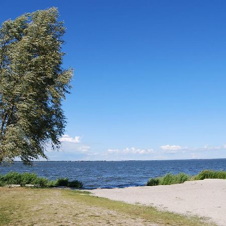 Ferienhaus In Bartelshagen II Villa Hessenburg Eksteriør bilde